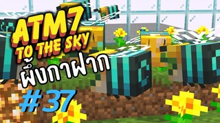 ตอน 37 เเอบฝากลูกไว้กับบ้านคนอื่น - All the Mods 7 To the Sky