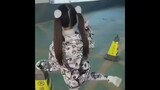 loli dance siêu cute p5 😲😲