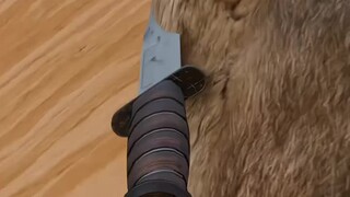 Apakah kamu tahu betapa kejamnya eksperimen kepala anjing itu?