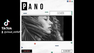 Pano Cover
