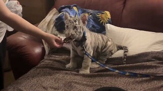 Makanan di luar memang lebih enak, ya?