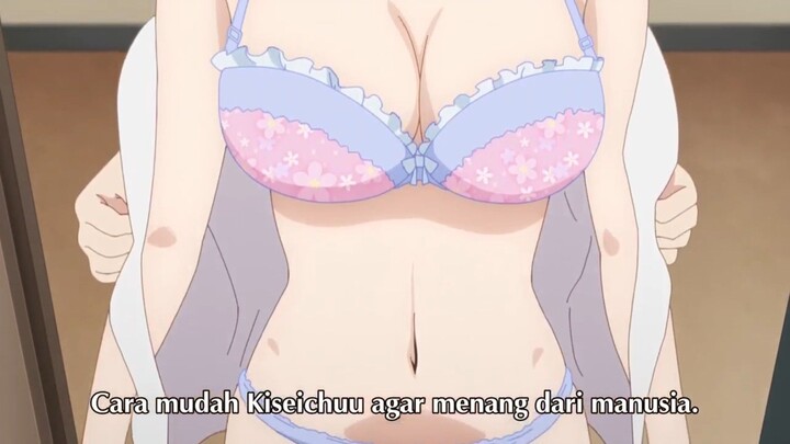 Parah Dibuka di dalam kelas . anime genre ecchi dub indo