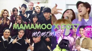 Người chơi "mẹ gà" đã lên sóng! Khoảnh khắc MAMAMOO và GOT7 xuất hiện cùng nhau