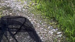 How to play in the Japanese countryside