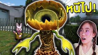อย่ากินฟักทองลูกนี้เด็ดขาด !! มันจะกินเรา | Mind&Nat