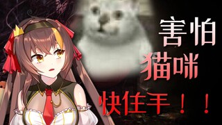 【冰糖】我和我家的猫不得不说的往事【全程高能】