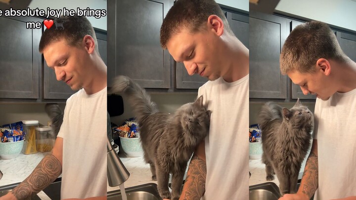 A very sweet cat, the kind that is sweet but not greasy