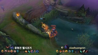 Korea Challenger - Pro Plays Highlights!!! #36
