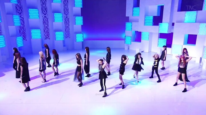 E-GIRLS PINK CHAMPAGNE