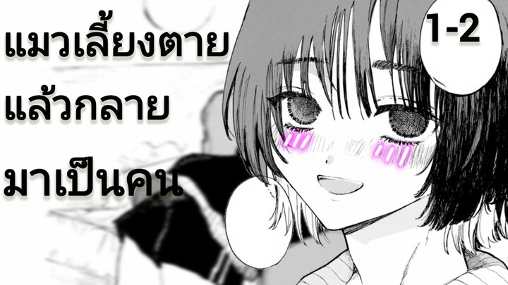 (รวมตอน) แมวเลี้ยงตายแล้วกลายเป็นคน