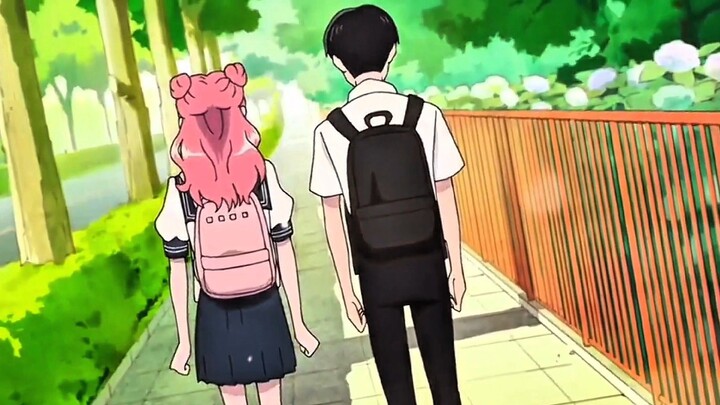 Suzuki Salting - You And I Are Polar Opposites [AMV]