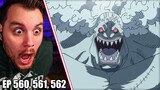 Luffy Lost? || One Piece Episode 560, 561 & 562 REACTION
