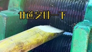 这个甘蔗安排一下哈