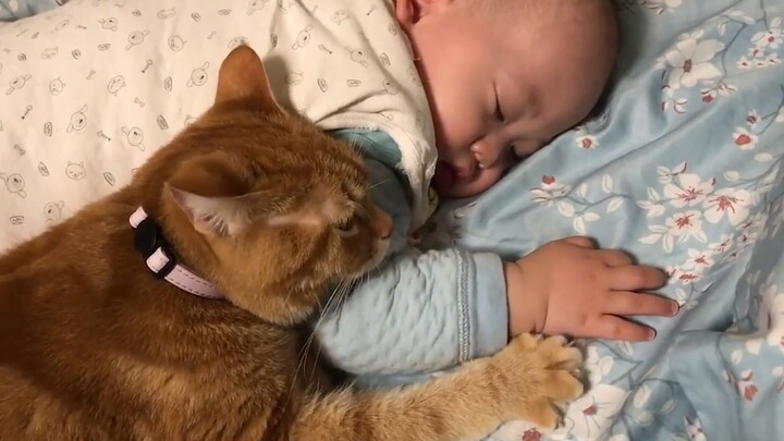 “Loving kids is hardwired into cats’ DNA!”