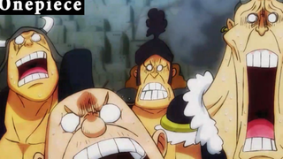 Cái kết cho kẻ dám thách thức tứ hoàng -.- #Onepiece