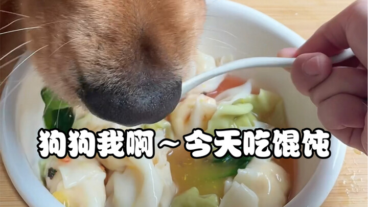 Aunties! Let’s dig into puppy-shaped wontons today!