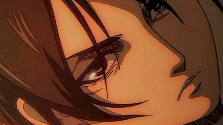 Mikasa cakepp bettt