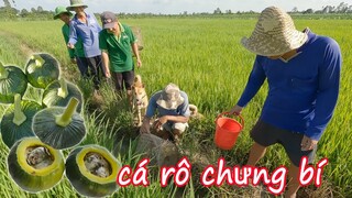 BẪY CÁ RÔ VỀ CHƯNG BÍ NON, MÓN ĂN BỔ DƯỠNG. T479