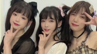 毫 无 压 力【獭鸡狗】