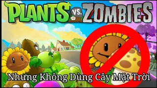 Plants Vs Zombies Nhưng Không Dùng Cây Tạo Ra Mặt Trời