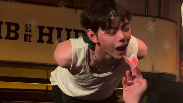 A versatile red cat teaser?