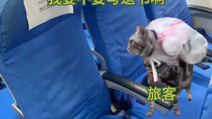 ผู้โดยสาร : ชีวิตฉันจบสิ้นแล้ว!