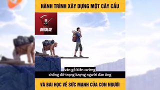 Hành trình xây dựng một cây cầu #phimhaymoingay