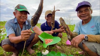 Cắm Trại Sinh Tồn Ăn Cá Thay Cơm