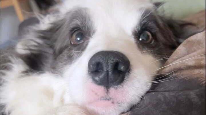 Kalau nggak bisa pegang, jangan pegang.