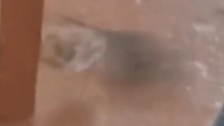 "Two Frame Residual Images"