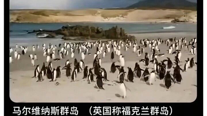 “Đi xuyên đến thế giới quái dị, không được để mình quá béo nếu không sẽ bị Thiên Đạo xóa sổ”