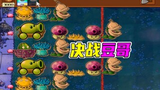 植物大战僵尸：骷髅辣椒完美配合，冰车巨人单挑豆哥