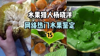 【صائد الفواكه】تحديد الفواكه الشائعة على الإنترنت 15