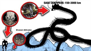 One Punch Man's Biggest Monster Size Comparison is Insane...