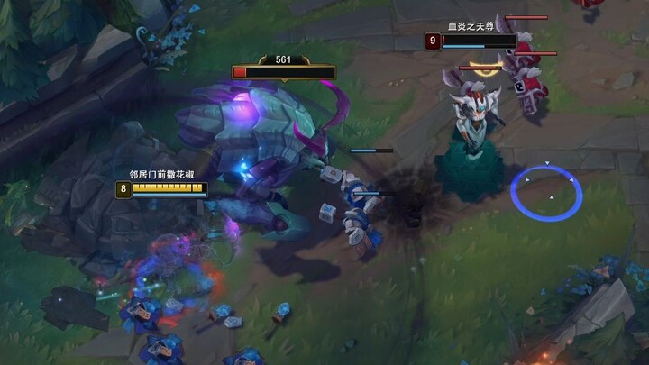 Rats, I just love tossing things around~