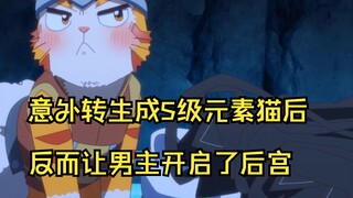 一月新番：意外转生成S级元素猫后，反而让男主开启了后宫