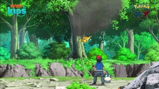 pokemon xy 54 (238)
