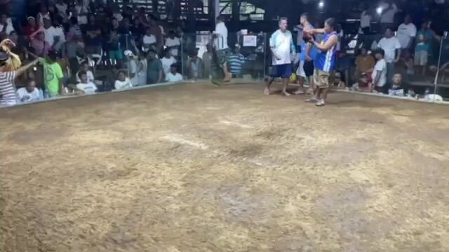zambales cock pit  3hits 2 fight win
