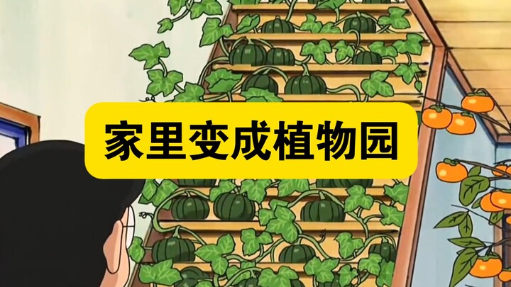 哆啦A梦:大雄和蓝胖子利用植物盆栽在家赏樱花、种水果、吃烧烤