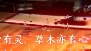 "ทุกสิ่งทุกอย่างมีจิตวิญญาณ แม้แต่พืชและต้นไม้ก็ยังมีหัวใจ!"