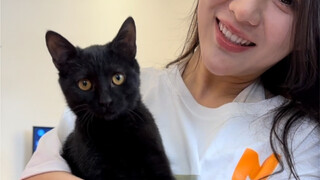 咱们猫德学院又壮大了，我们有猫德小卖部与小卖部了