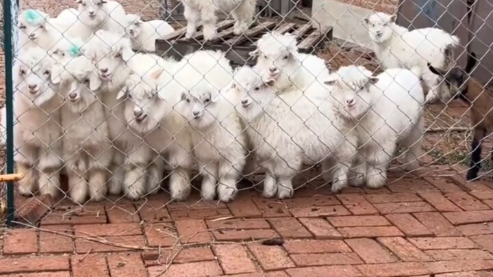 انتهى الدوام في الروضة!