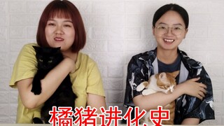 【二八的vlog】橘猪进化史！！！