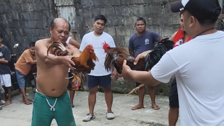 Swerte ang kalbo