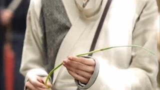 垂死病中惊坐起，韭菜竟是我自己？