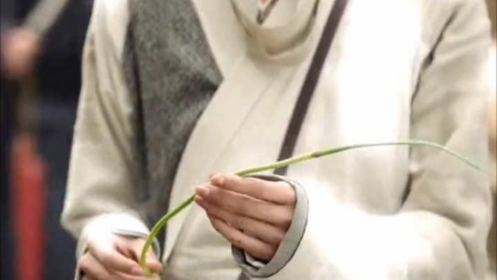 垂死病中惊坐起，韭菜竟是我自己？