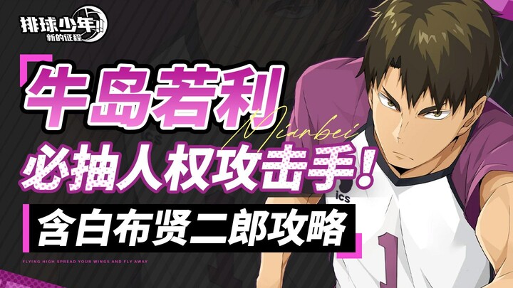 【排球少年】最强攻击手牛岛若利！手把手教你打造白鸟泽战舰！含千里眼抽卡规划 角色配队指南