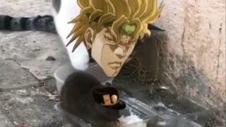 [ JoJo's Bizarre Adventure ] Tom and Jerry