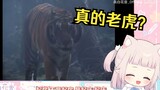Cô gái Nhật Bản lần đầu xem "Thủy Hử" và Ngô Song đã đánh bại hổ và nói rằng cô ấy thật tuyệt vời