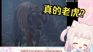 日本萝莉第一次看《水浒传》武松打虎 直呼牛逼